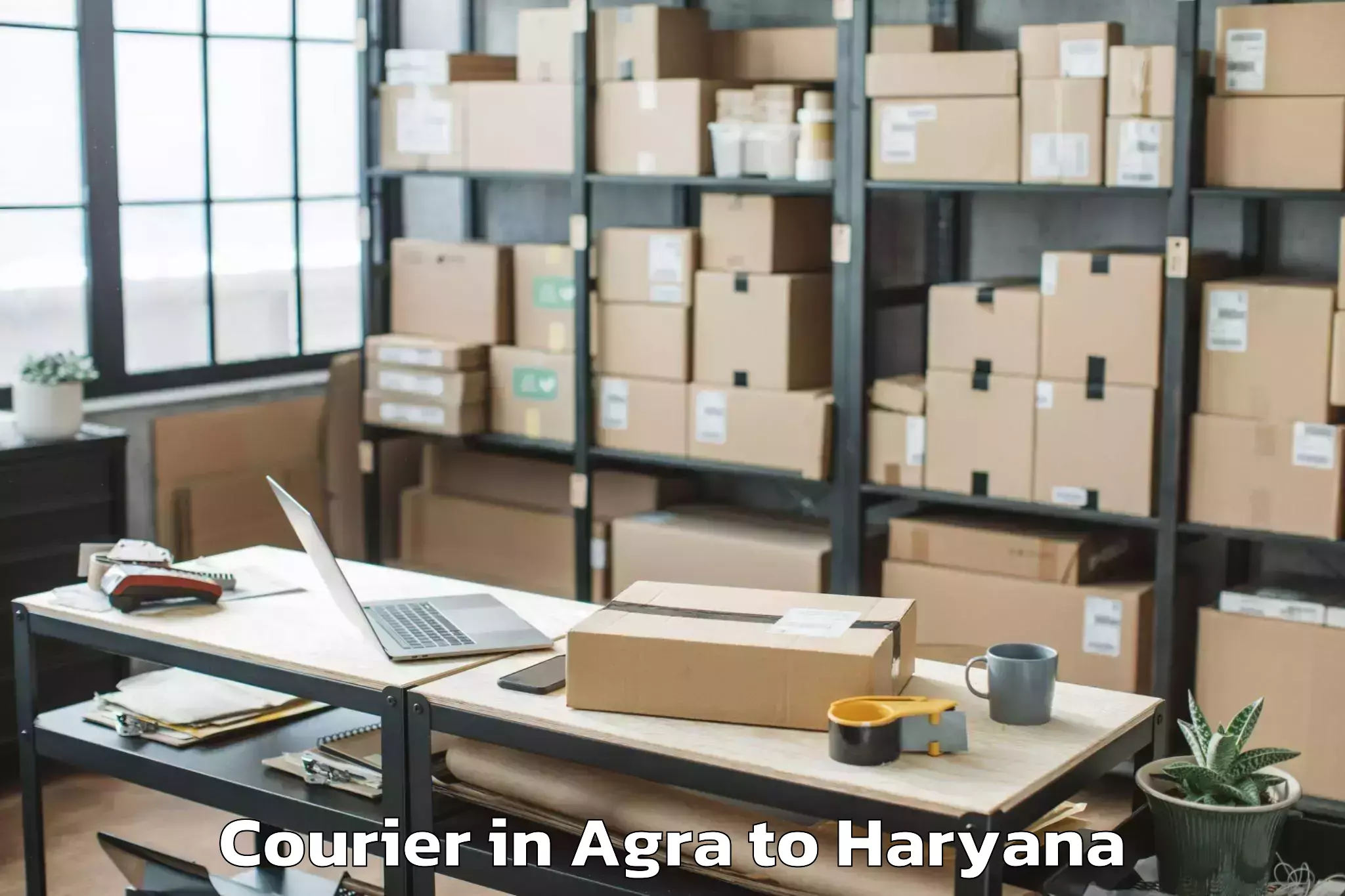 Book Agra to Barwala Courier Online